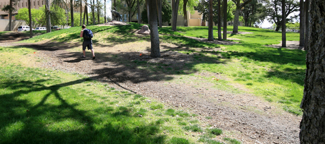 Tight Grove – Conservation efforts haveresulted in the savings of 500,000 gallons of water a year at Tight Grovelocated in the southwest part of campus. Photo by John Sumrow