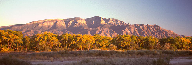 sandia