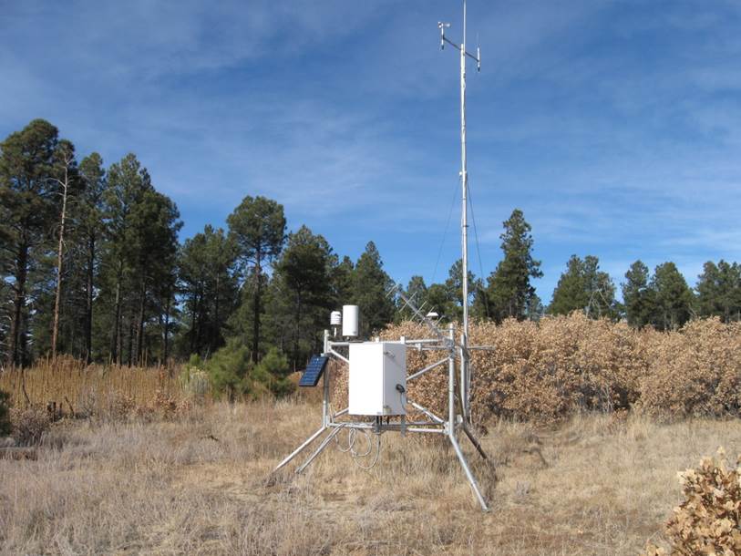 A person standing on a dry grass field

Description automatically generated