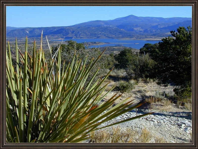 abique lake.jpg (527968 bytes)