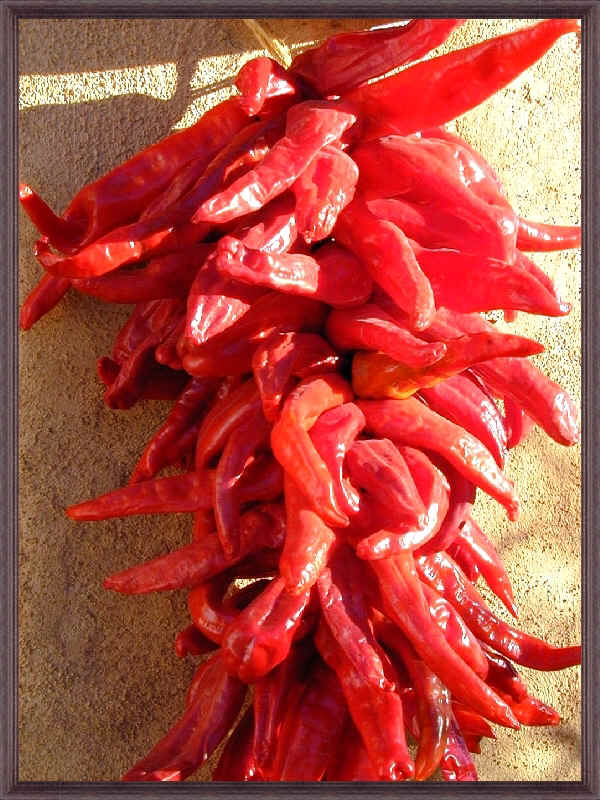 red chile.jpg (531737 bytes)