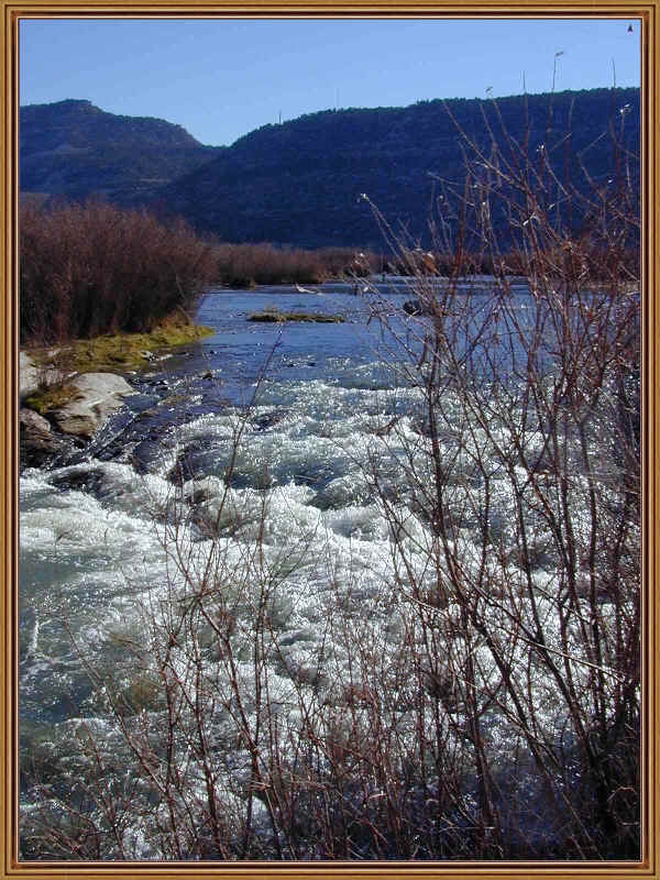 quality waters.jpg (531666 bytes)