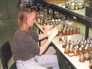 Kim in our lab, ca. 1998-99