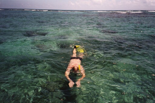 Bacalar Chico snorkel Irm