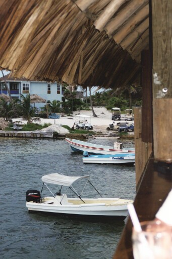 Palapa bar view