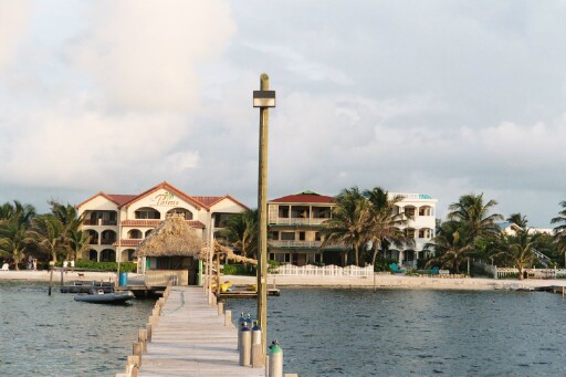 Palms pier