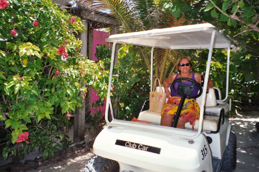 Ramons golf cart mo