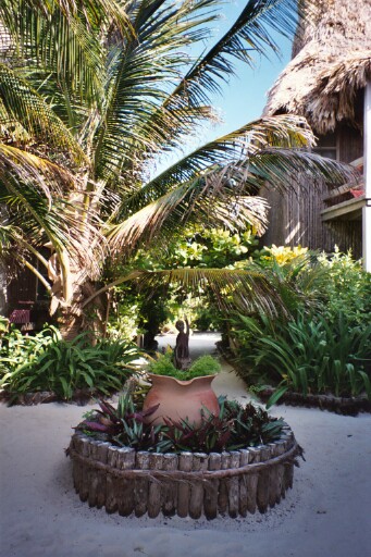 Ramons grounds