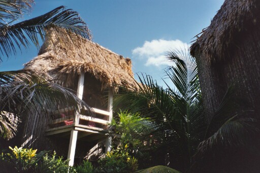 Ramons thatch roof1