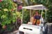 Ramons golf cart mo