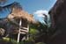Ramons thatch roof1