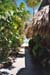 Ramons walkway view 1