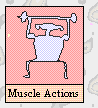 Muscle Actions Table