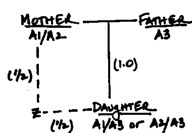 fig1.gif (2920 bytes)