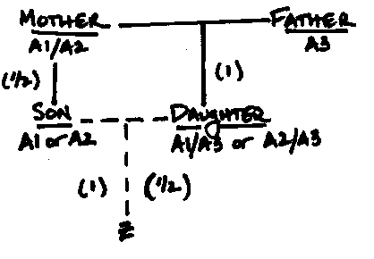 fig2.gif (3175 bytes)