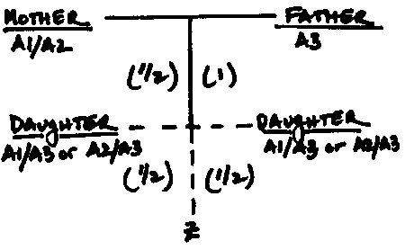 fig3.gif (3614 bytes)
