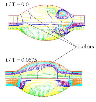 http://www.me.unm.edu/~khraishi/AAA_unsteady_flow.gif