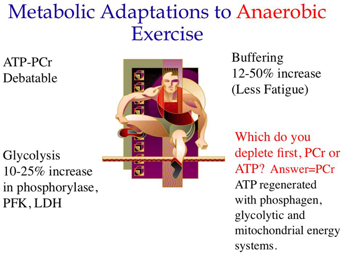 anaerobic anaerobic