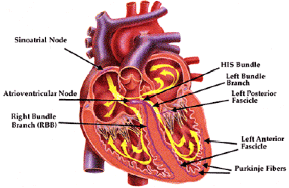 Conducting health outcomes research