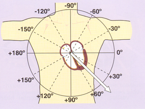 system reference leads diagram plane limb ekg heart frontal unm identify able