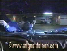 Miguel de León's character getting hit by a speeding car