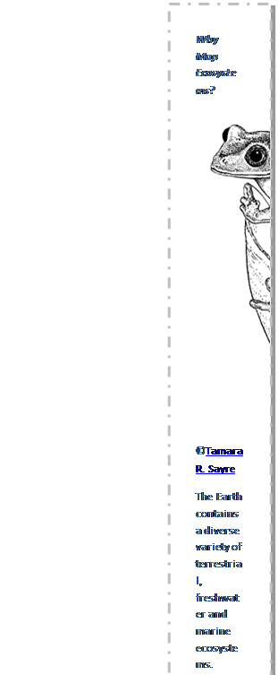 Text Box: Why Map Ecosystems?
 
Tamara R. Sayre
The Earth contains a diverse variety of terrestrial, freshwater and marine ecosystems. These ecosystems provide biological resources and services that are essential to our survival. The rapid change on our landscapes threatens the existence of these ecosystems and the critical ecological services they provide. Educators and students worldwide are demanding accessible analysis and data to better characterize, understand, monitor, and forecast changes to the landscape.

