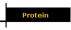 Protein