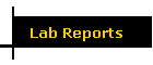 Lab Reports