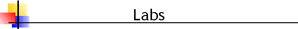 Labs