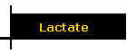 Lactate