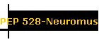 PEP 528-Neuromuscular Perf.