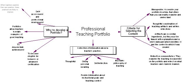 Professional Teaching Portfolio