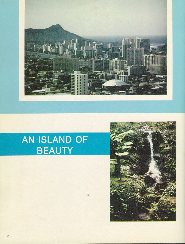 The Island
