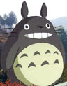 totoro pic