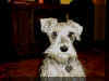 Pepper1