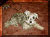 Pepper3