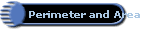 Perimeter and Area  Form