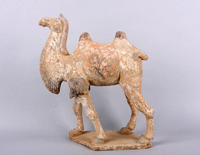 Tang Dynasty camel