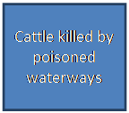 Text Box: Cattle killed by poisoned waterways