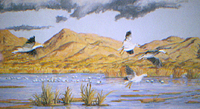 Snow Geese Landing pastel by Jeff Potter AVAILABLE