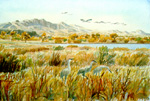 Sandhill Cranes Feeding on November Morning watercolor by Jeff Potter