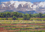 Storm clouds over Manzano Mtns from Los Poblanos Open Space plein air oil painting by Jeff Potter SOLD