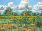 Anderson Field Sunflowers pastel by Jeff Potter AVAILABLE