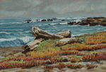 Northen California Beach plein air pastel by Jeff Potter AVAILABLE