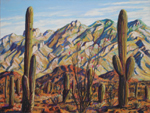 Saguaro Foothill View of Santa Catalina Mountains pastel by Jeff Potter AVAILABLE