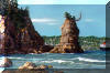 Stanley Park Seashore near Vancouver, BC pastel by Jeff Potter AVAILABLE