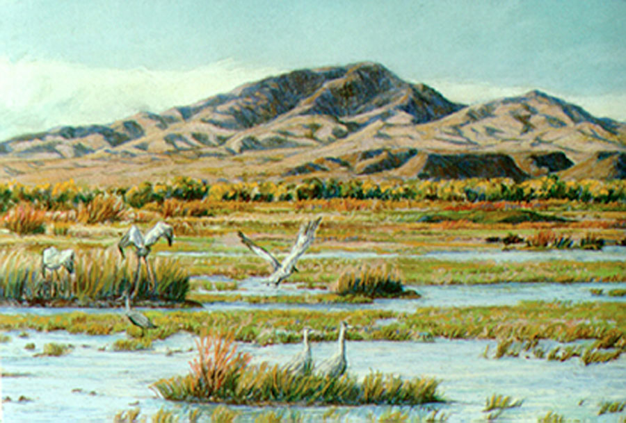 Cranes Landing at Bosque del Apache pastel by Jeff Potter PRINT AVAILABLE