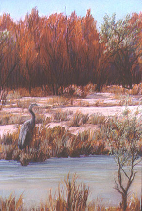 Great Blue Heron pastel by Jeff Potter ORIGINAL & ARCHIVAL PRINT AVAILABLE