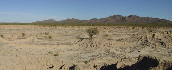 Missing image: La Playa, Son.