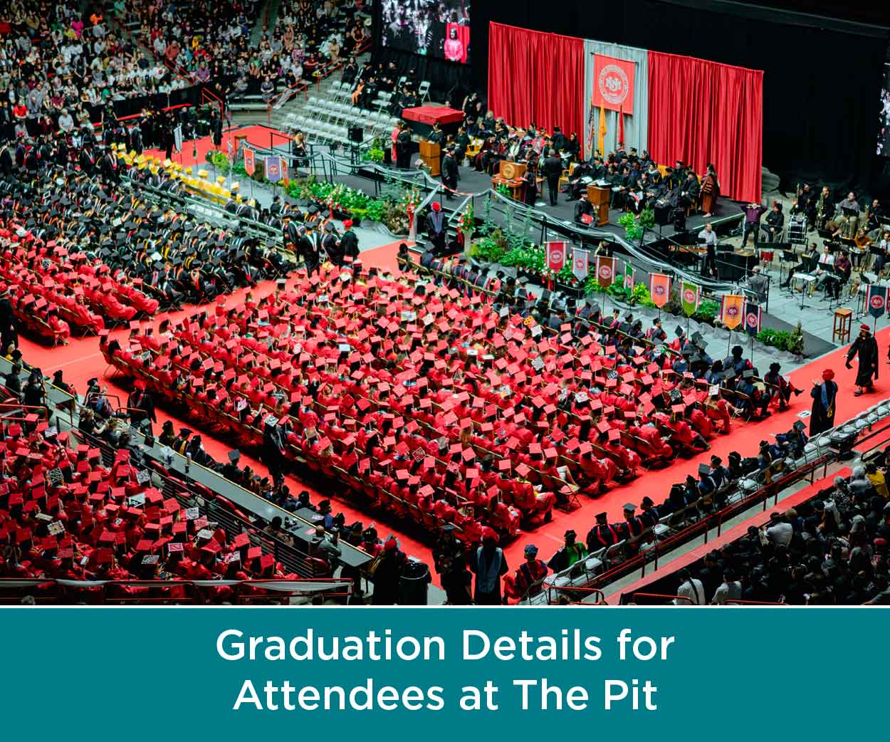 graduation-guests.jpg